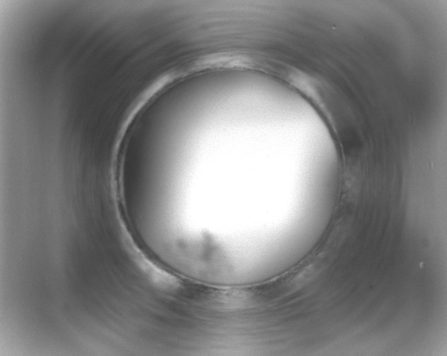 X0000068851090200605051206