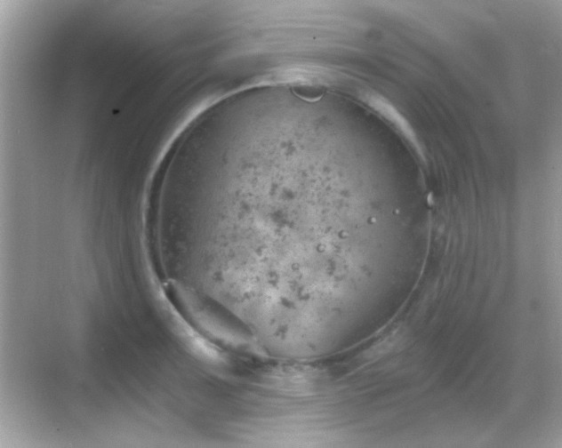 X0000068851091200605051206