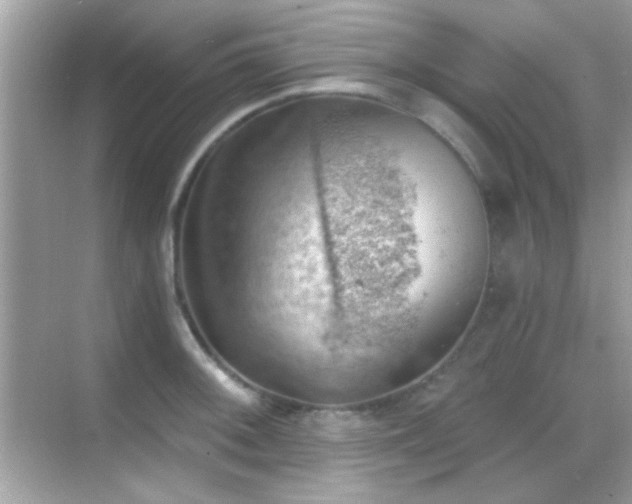 X0000068851092200605051206