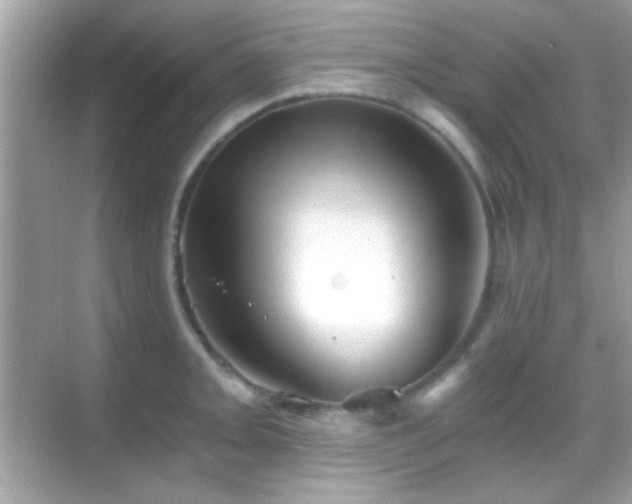 X0000068851093200605051206