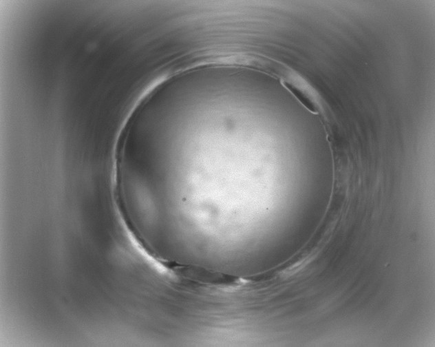 X0000068851095200605051206