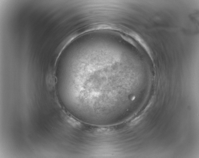 X0000068851097200605051206