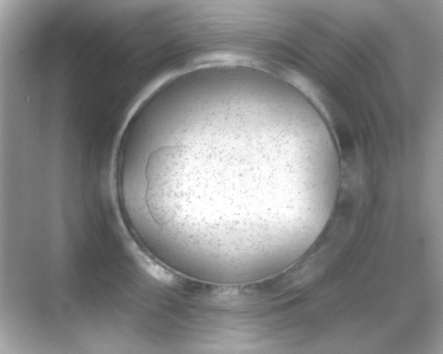 X0000068851098200605051206