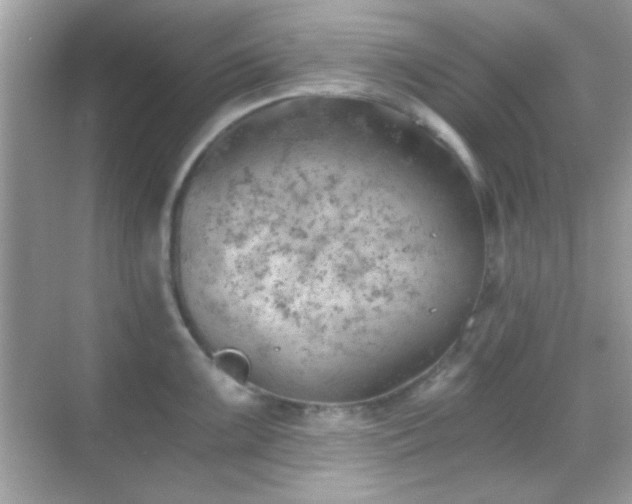 X0000068851099200605051206