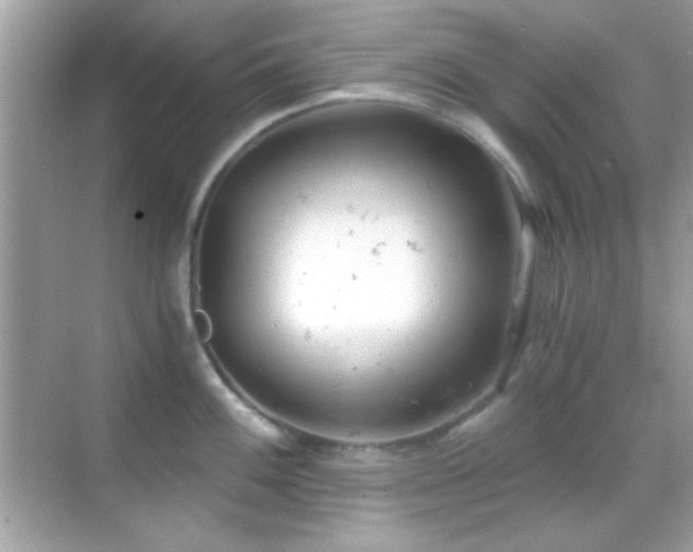 X0000068851100200605051206