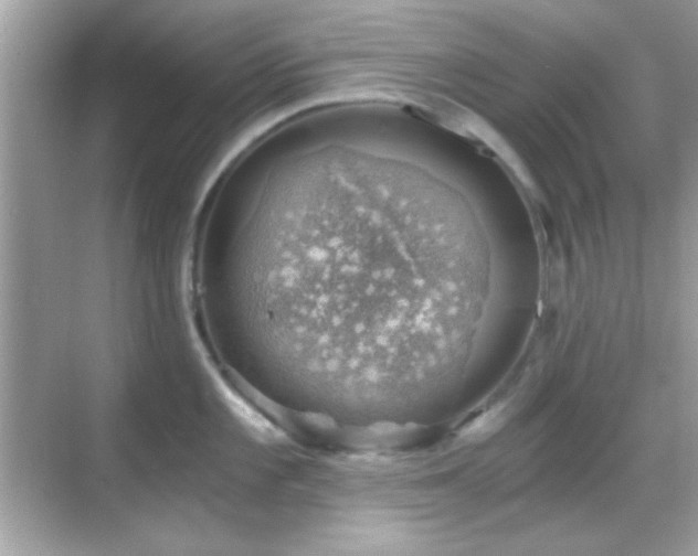 X0000068851101200605051206