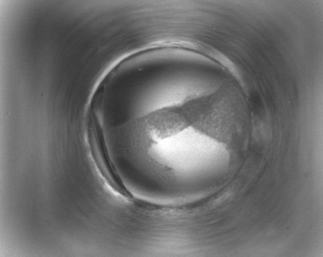 X0000068851102200605051206