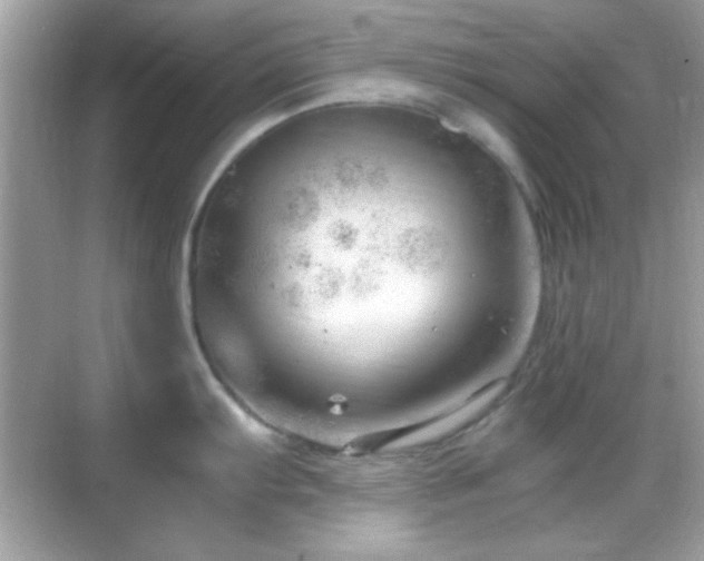 X0000068851103200605051206