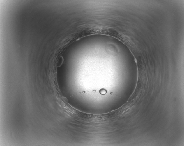 X0000068851105200605051205