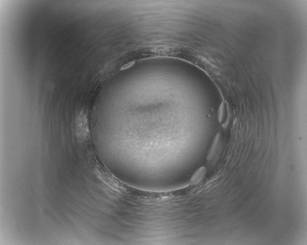 X0000068851106200605051205