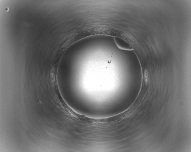 X0000068851107200605051205