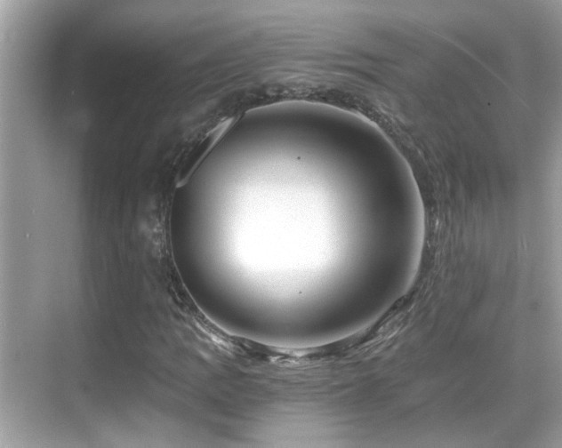 X0000068851109200605051205