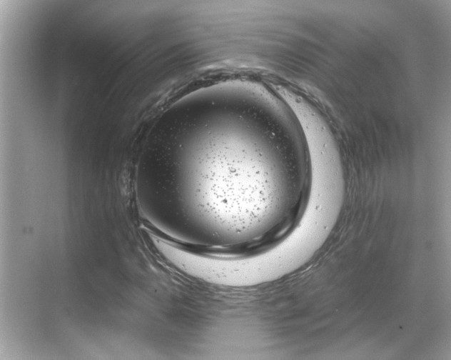 X0000068851110200605051205