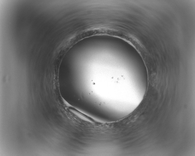 X0000068851111200605051205