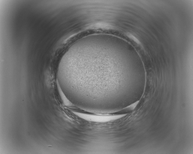 X0000068851112200605051205