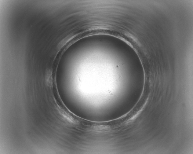 X0000068851113200605051205