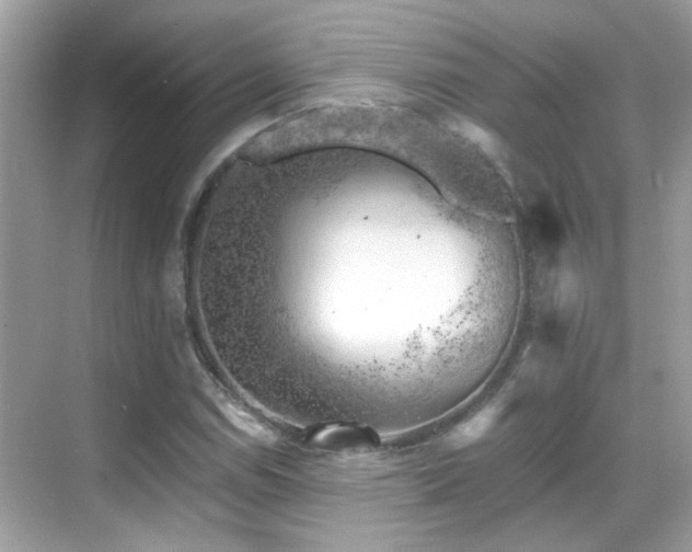 X0000068851114200605051205