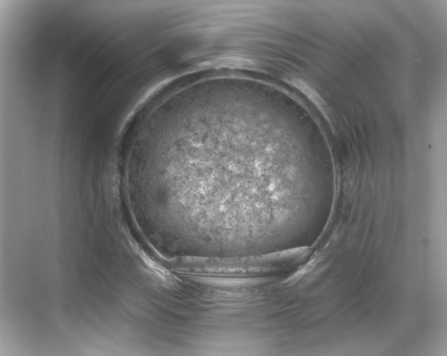 X0000068851115200605051205