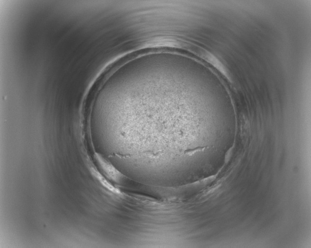 X0000068851116200605051205