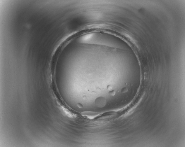 X0000068851117200605051205