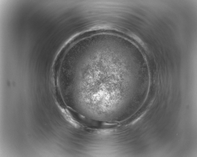 X0000068851118200605051205