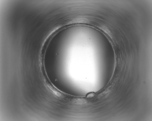 X0000068851119200605051205