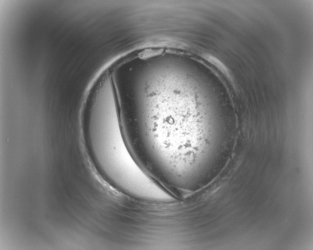 X0000068851120200605051205