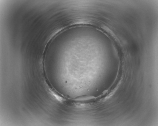 X0000068851121200605051205