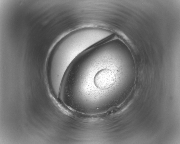 X0000068851122200605051205