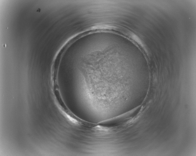 X0000068851124200605051205