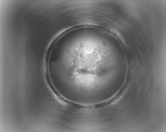 X0000068851125200605051205