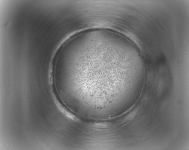 X0000068851126200605051205