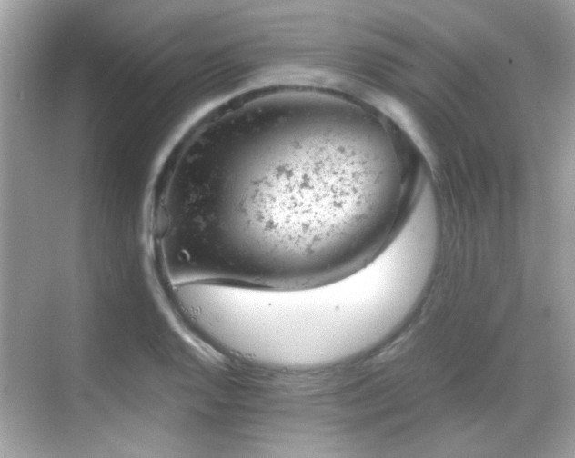 X0000068851128200605051206