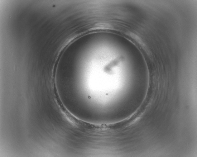 X0000068851129200605051206