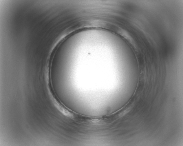 X0000068851130200605051206