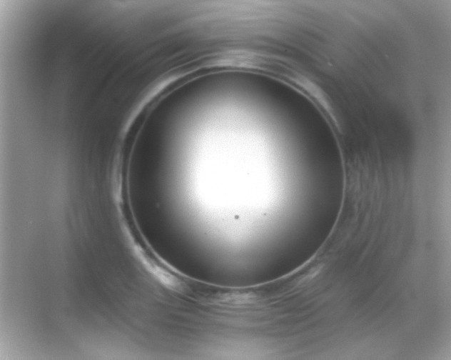 X0000068851131200605051206