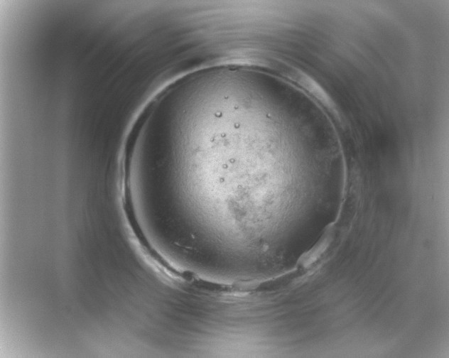 X0000068851132200605051206