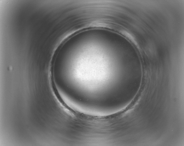 X0000068851133200605051206