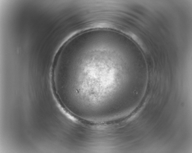 X0000068851134200605051206