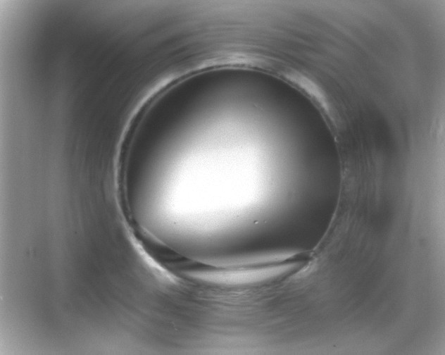 X0000068851135200605051206