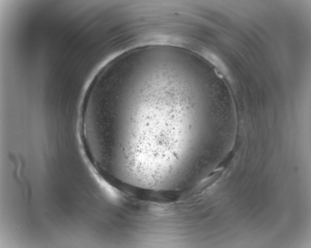 X0000068851136200605051206