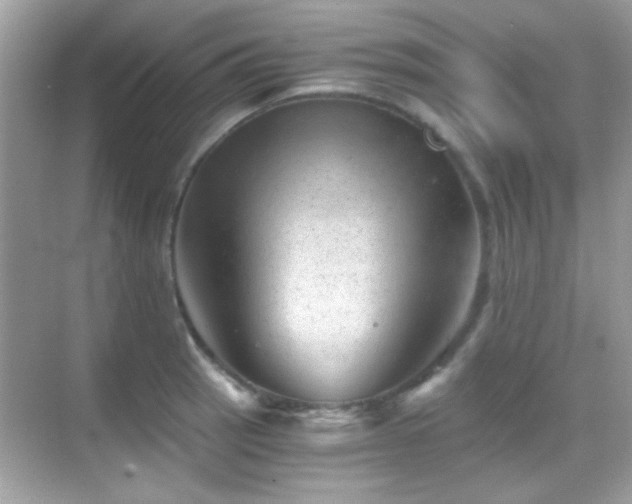 X0000068851137200605051206