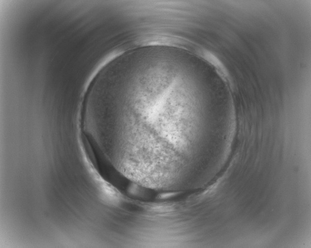 X0000068851138200605051206