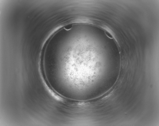 X0000068851139200605051206