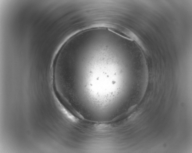 X0000068851140200605051206