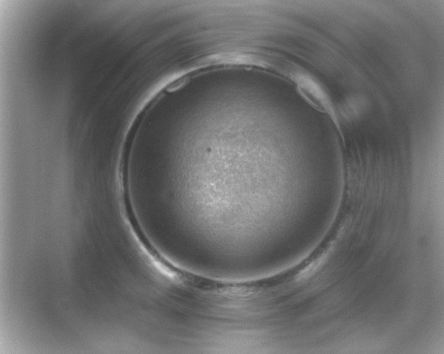 X0000068851141200605051206