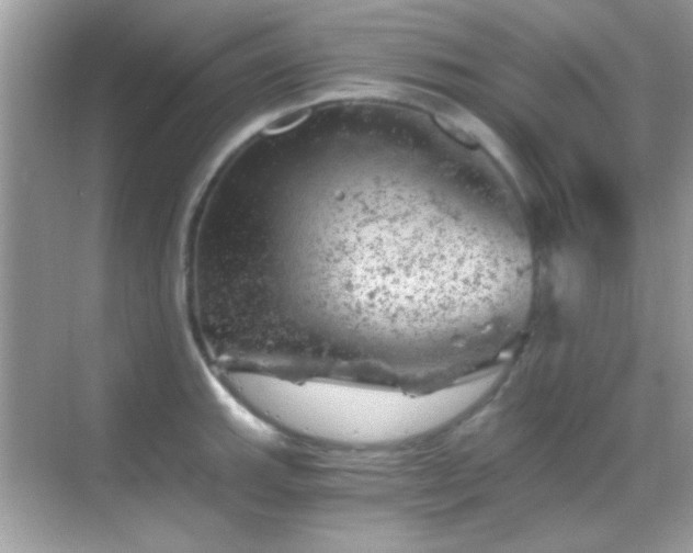 X0000068851143200605051206