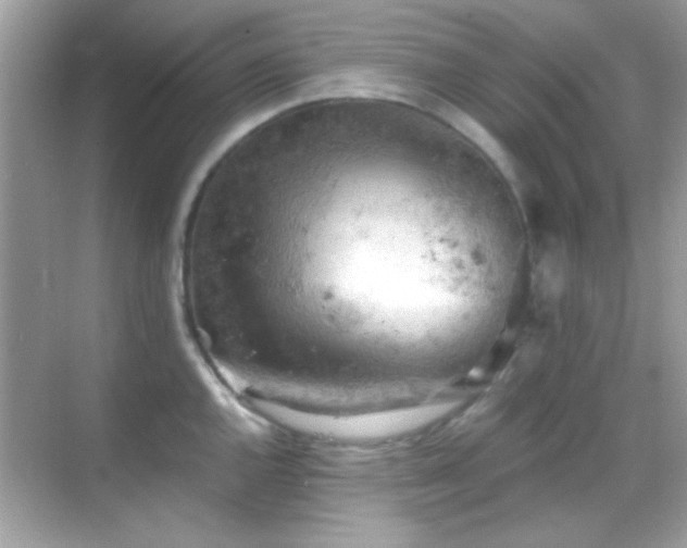 X0000068851144200605051206