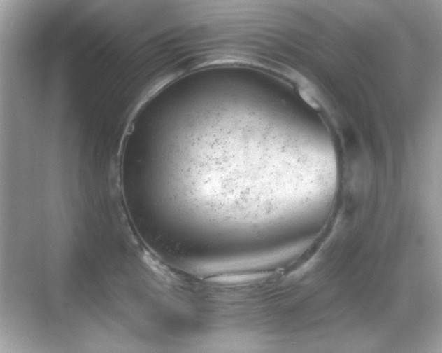 X0000068851145200605051206