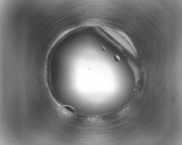 X0000068851147200605051206